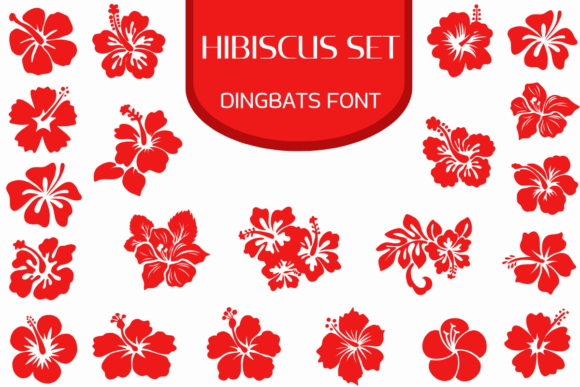 Hibiscus Set: A Designer's Take
